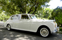 Miami Limo Rolls Royce