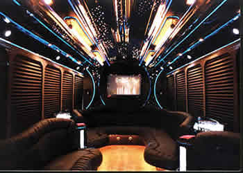 22 Passenger Party Bus