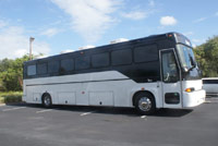 Palm Beach Party Bus Rental