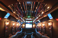 Palm Beach Party Bus Rental