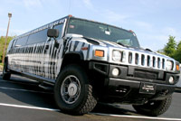 Zebra Hummer Limo West Palm Beach