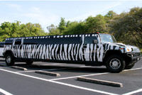Hummer Limo South Florida