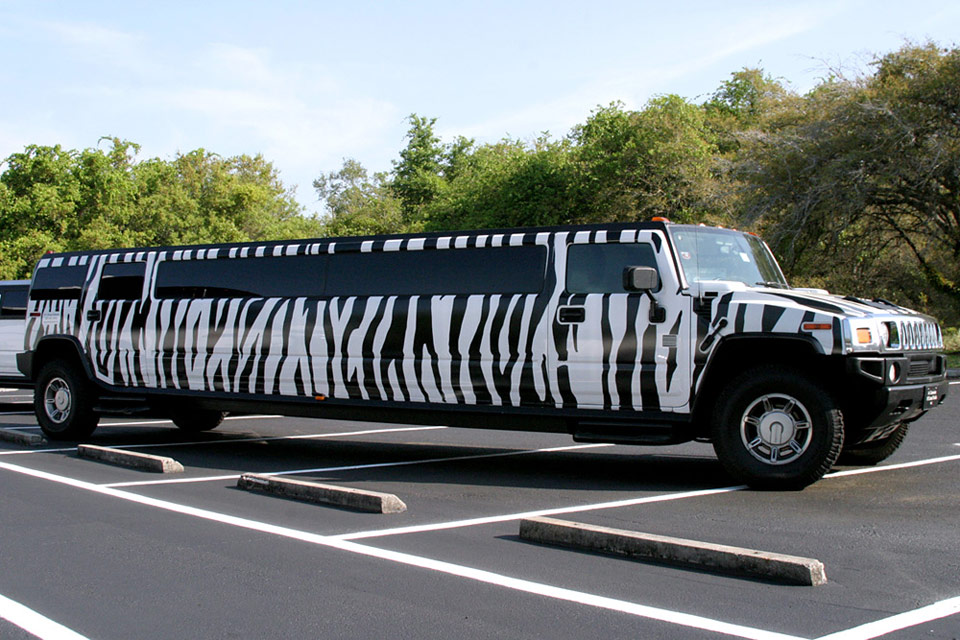 Zebra Hummer Limousine image