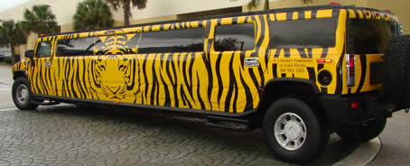 Tiger Hummer Limo