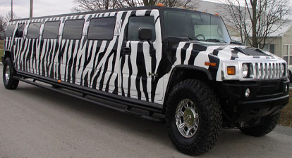 Zebra Hummer Limo Coming Soon