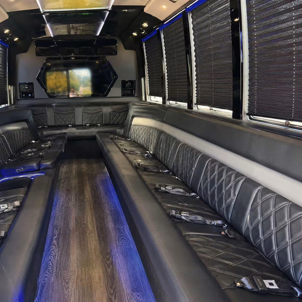 20 passenger party bus inside