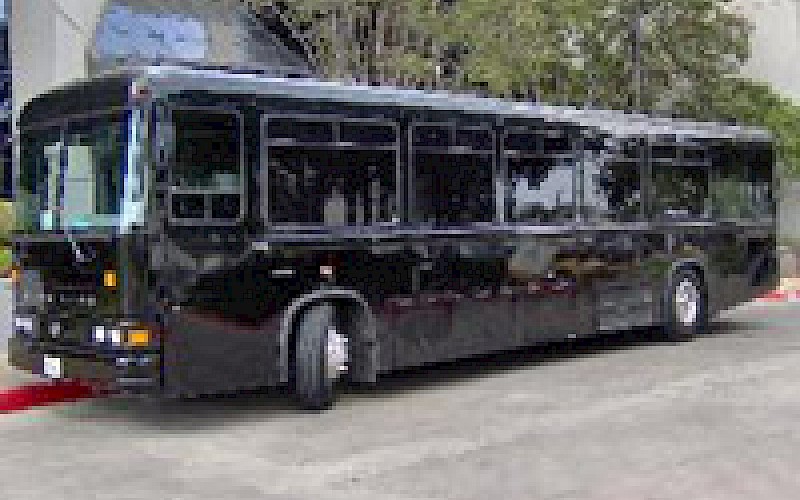 Miami Party Bus Rental
