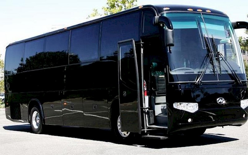40 Passenger Party Buses