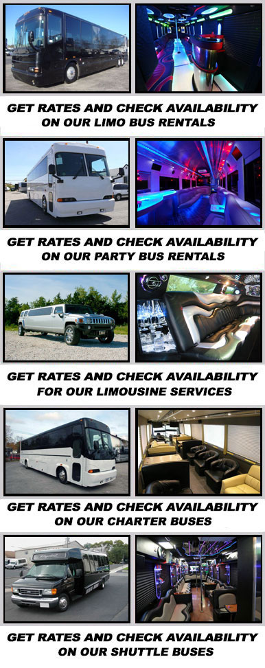 Tampa Party Buses